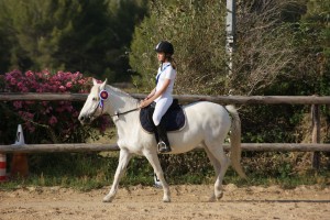 SONY DSC