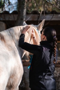 Anne-Fütterer-Dressage-Grangette-032024-32
