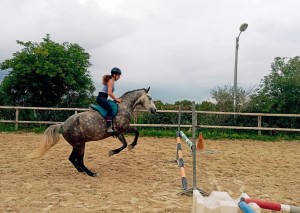 Cordelette maelle - Copie